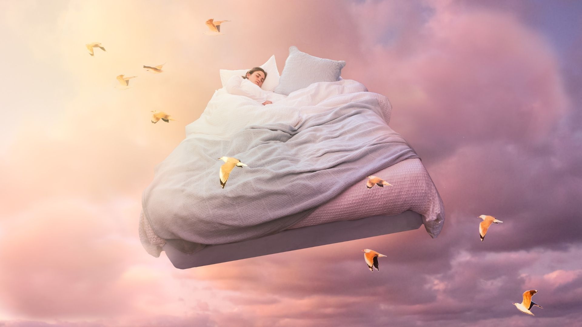 Um pessoa dormindo em uma cama que sobe voando com p&aacute;ssaros